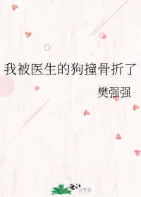 我被医生的狗撞骨折了