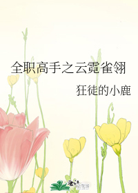 全职高手之云霓雀翎