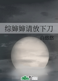 综婶婶请放下刀