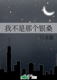 我不是那个银桑