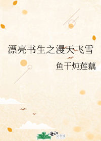 漂亮书生之漫天飞雪