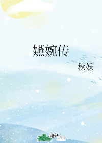 嬿婉传
