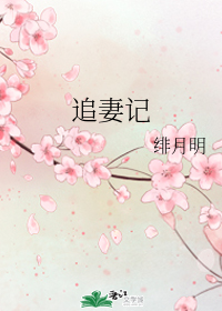 追妻记