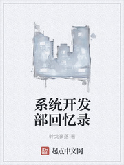 系统开发部回忆录