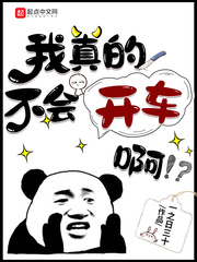 我真的不会开车啊