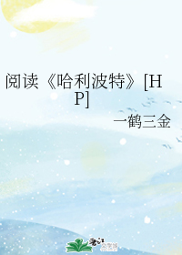 阅读《哈利波特》[HP]