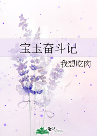 宝玉奋斗记