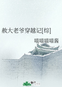 赦大老爷穿越记[综]