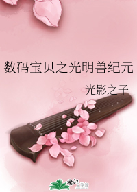 数码宝贝之光明兽纪元