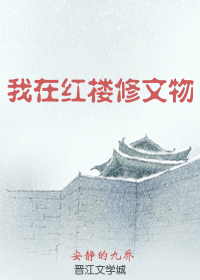 我在红楼修文物