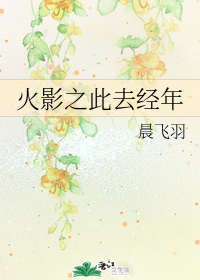 火影之此去经年