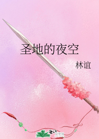 圣地的夜空