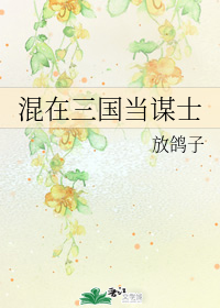 混在三国当谋士