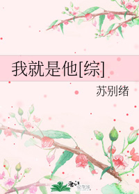 我就是他[综]