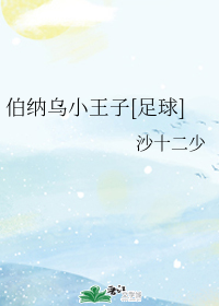 伯纳乌小王子[足球]