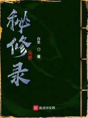 秘修录