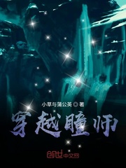 穿越瞳师