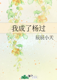 我成了杨过