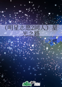（明星志愿2同人）星光之路
