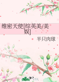 维密天使[综英美/美娱]