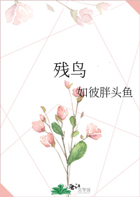 残鸟