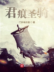君痕圣骑