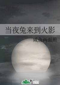 当夜兔来到火影
