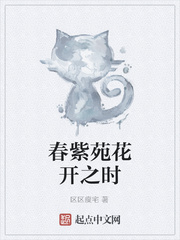 春紫苑花开之时