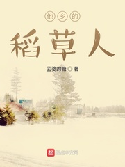 他乡的稻草人