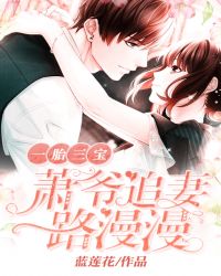 一胎三宝：萧爷追妻路漫漫