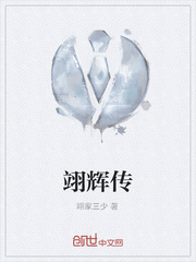 翊辉传