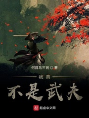 我真不是武夫