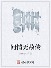 问情无敌传