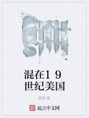 混在19世纪美国