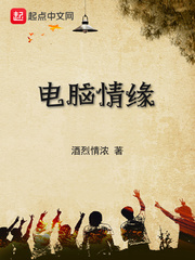 电脑情缘