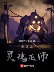 末世之灵魂巫师