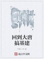 回到大唐搞基建