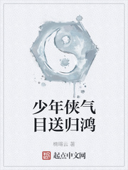 少年侠气目送归鸿