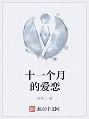 十一个月的爱恋