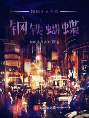 翱翔于天空的钢铁蝴蝶