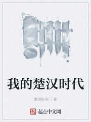 我的楚汉时代