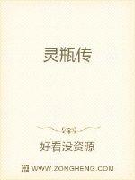 宝瓶传