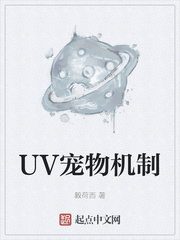 UV宠物机制