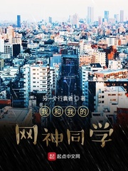 我和我的网神同学