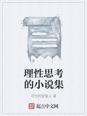理性思考的小说集