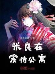 张良在爱情公寓