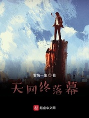 天网终落幕