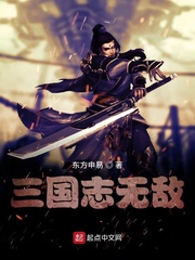 三国志无敌
