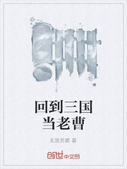 回到三国当老曹