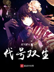 代号双生